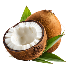 Coconut Oil